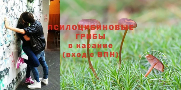 спиды Верея