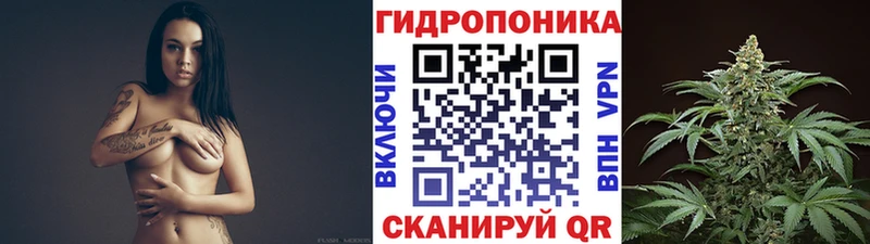 Конопля гибрид  Купить  Чекалин 